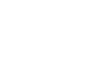 Finengine